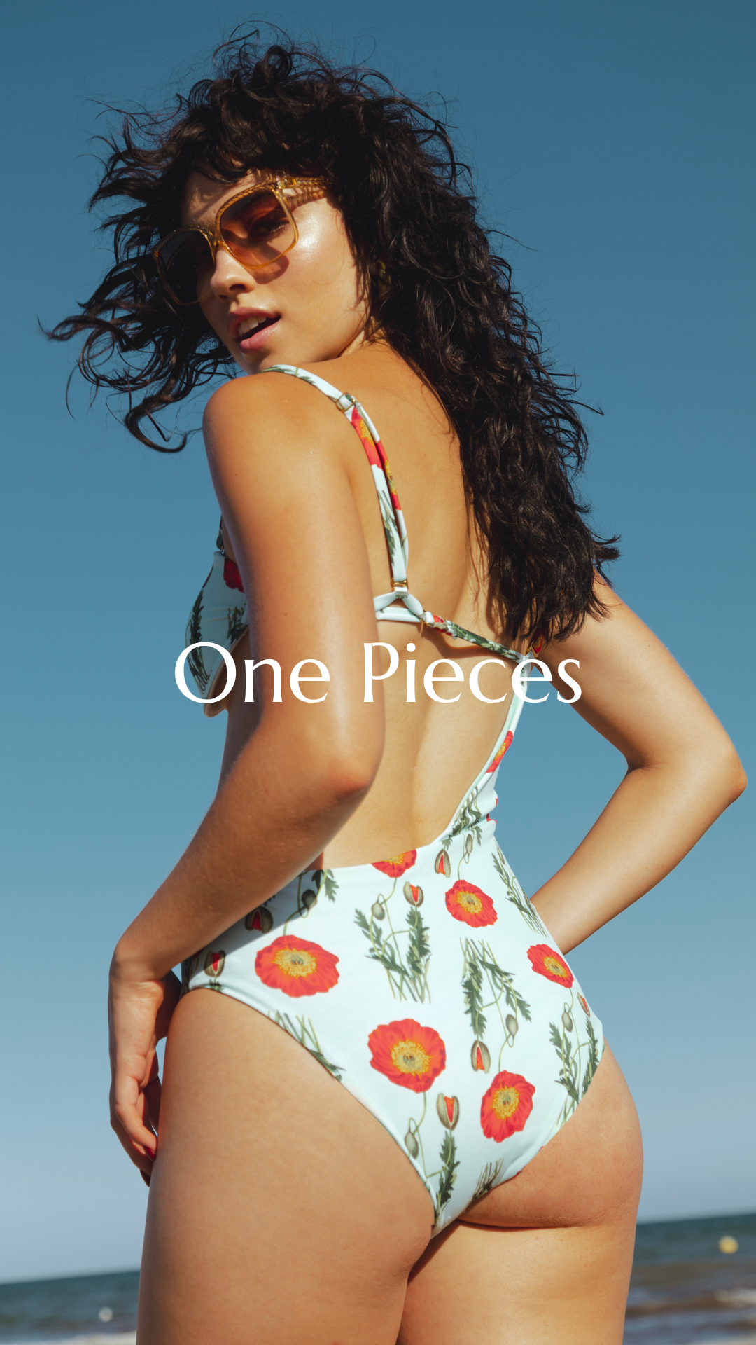 Historia De Verano One Pieces